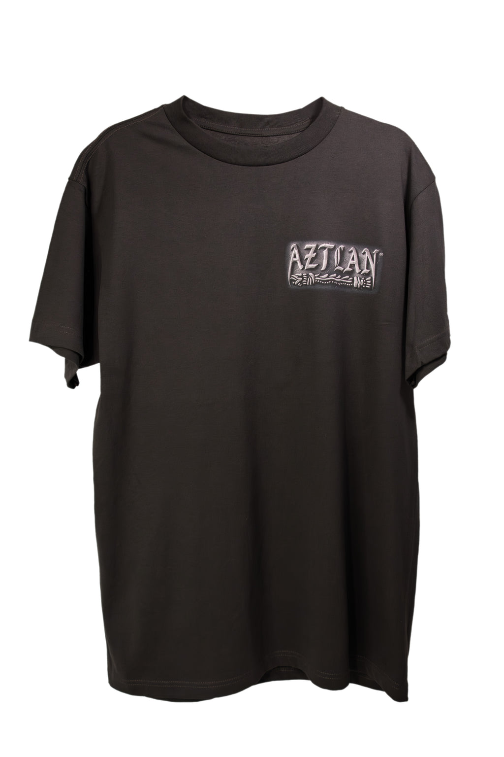 Representing Aztlan