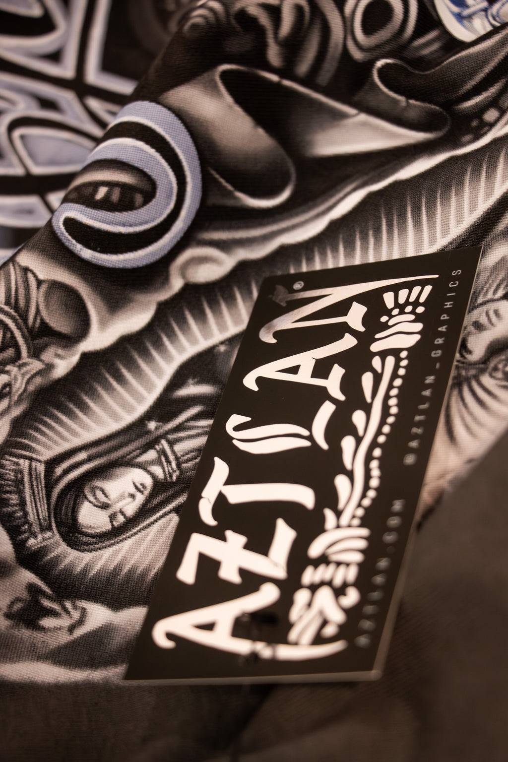 Representing Aztlan