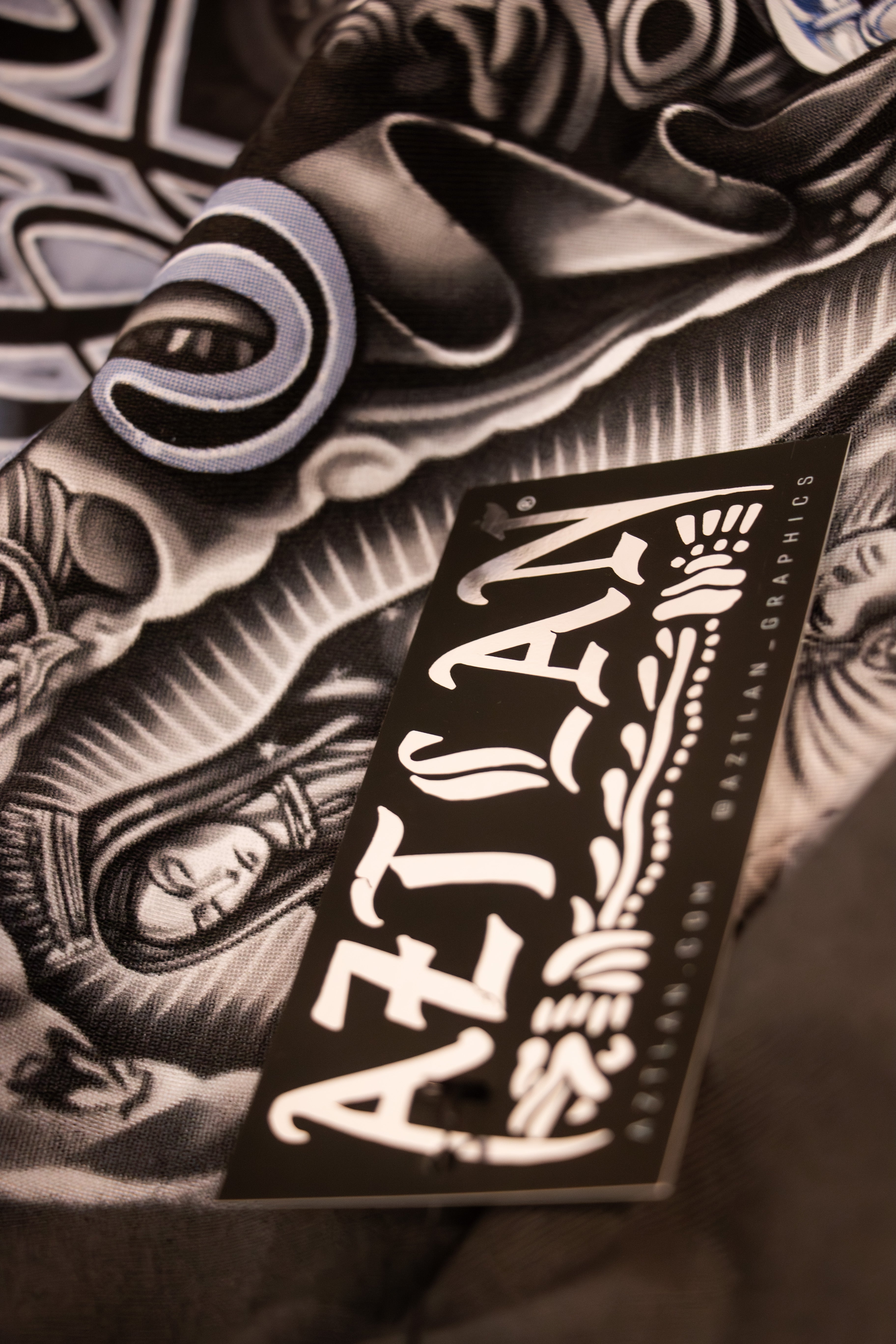 Representing Aztlan