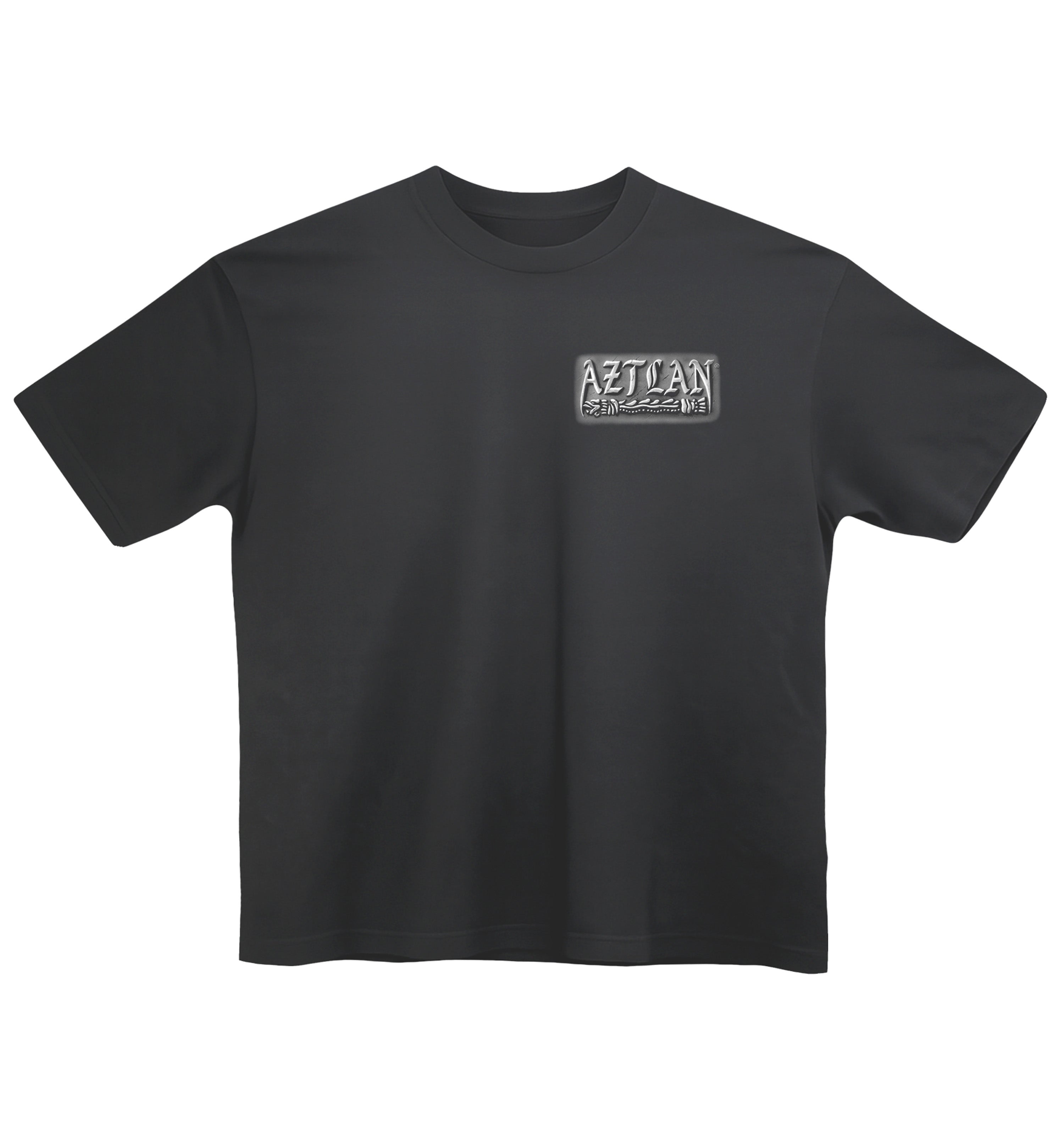 Representing Aztlan
